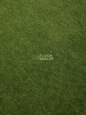 Haima Coral 30 фото 8 | FLOORDEALER